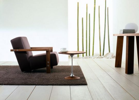 BERBENA 扶手椅 riva1920