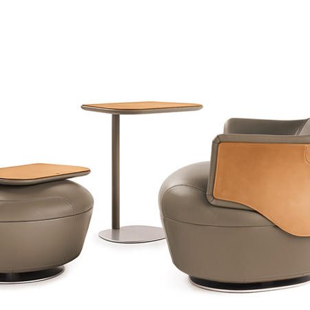 assaya 扶手椅 poltrona frau