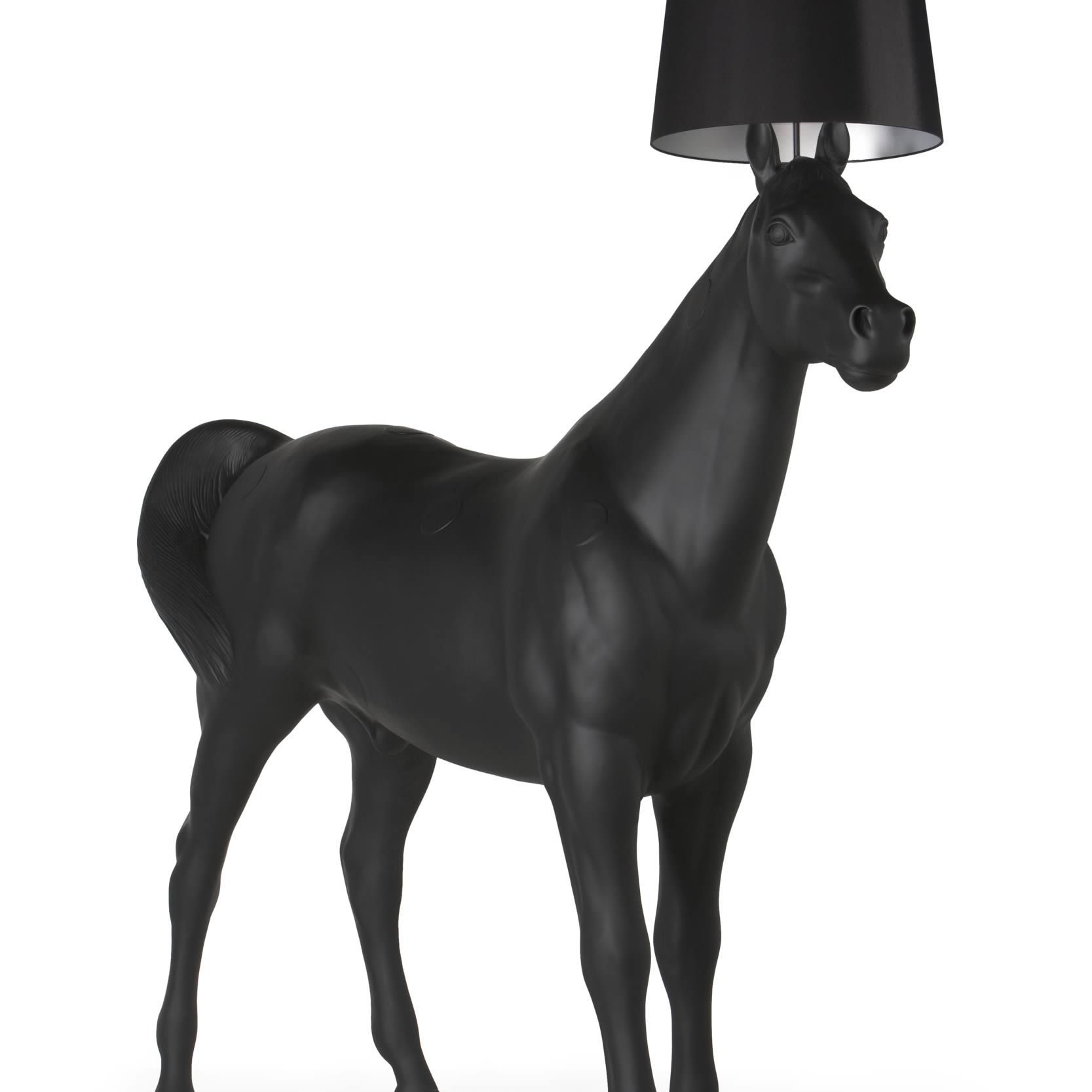 Horse Lamp 落地灯 moooi