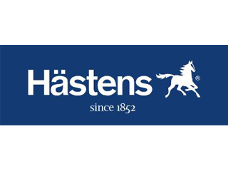logo-hastens-320240
